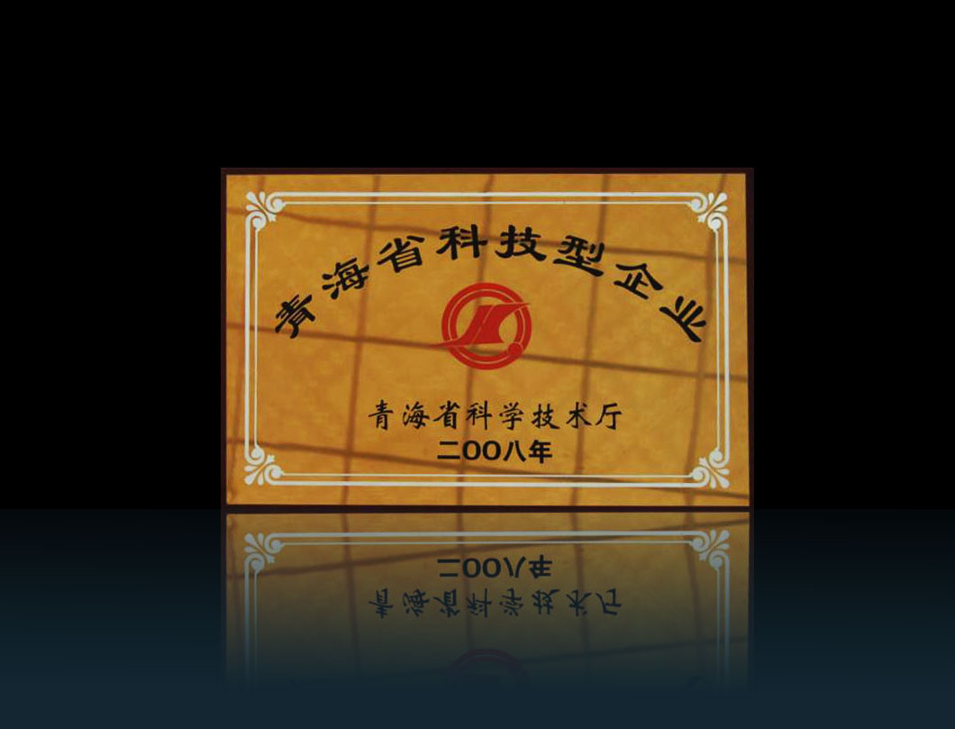 2008年-青ω海省科技型企业